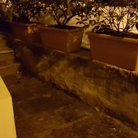 아파트 Mameli 바메노